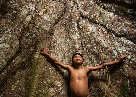 Fra udstillingen, Spor i Amazonas