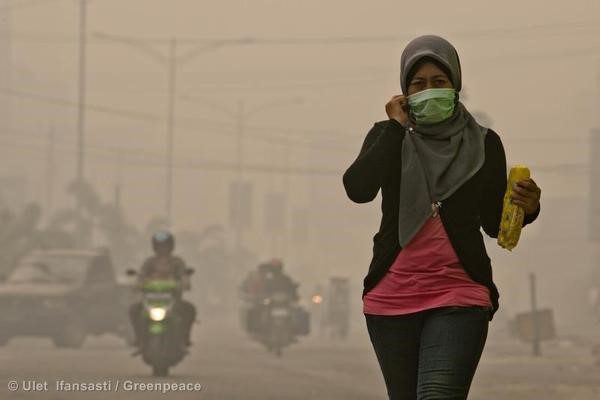 Foto: Greenpeace Southeast Asia