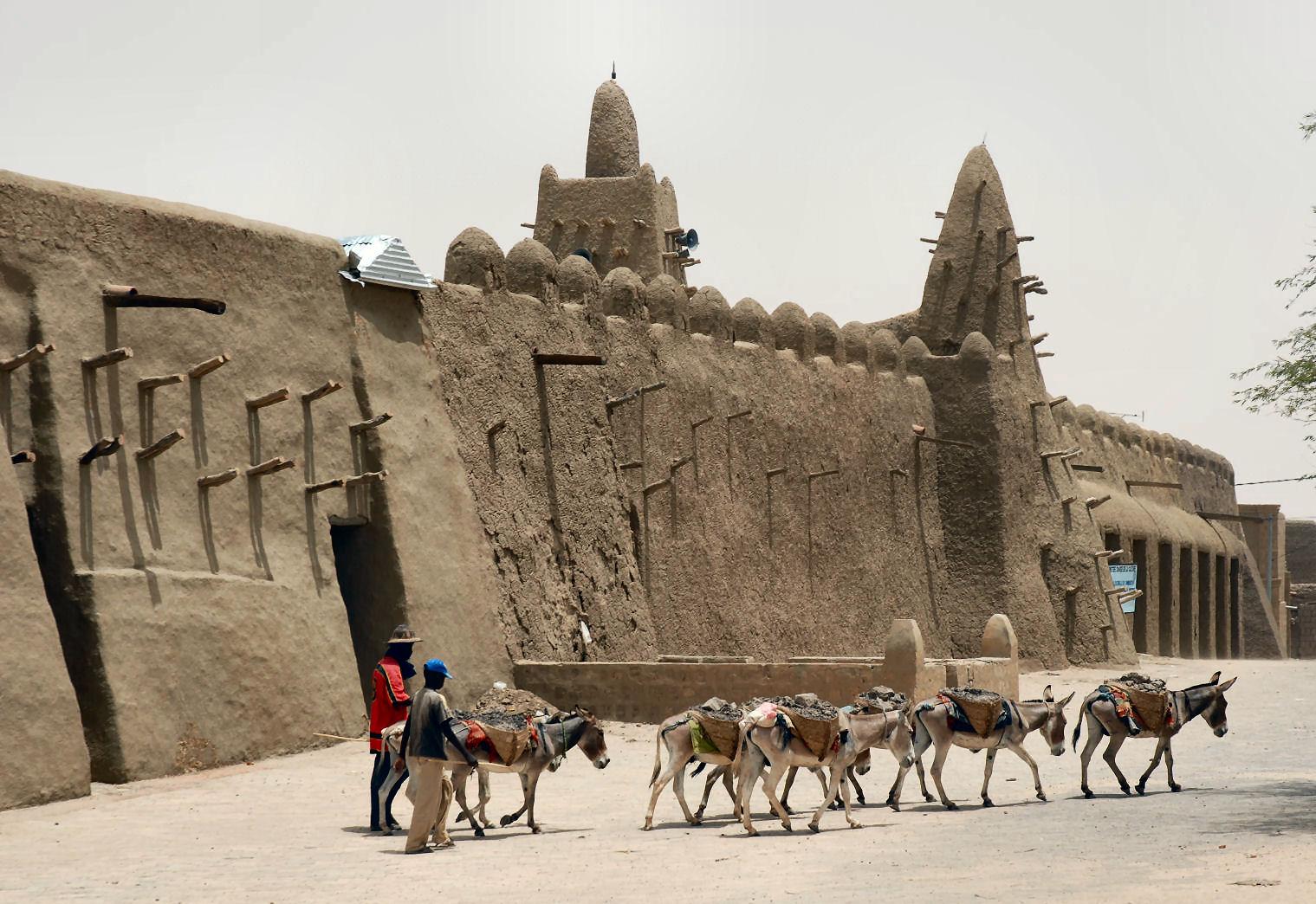 donkeys_timbuktu