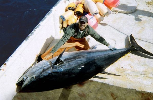large_bluefin_tuna_on_deck