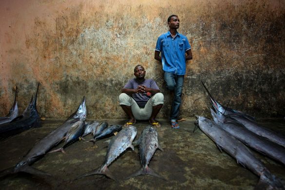 2013_03_16_somalia_fishing_h_8571823324