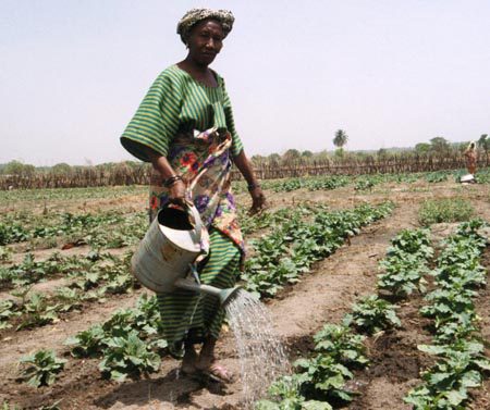 guinea_siguiri_farmer_woman