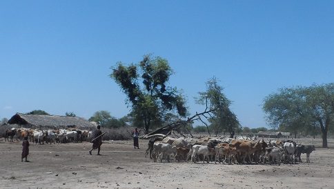 impoverished_pastoralists_2_iwgia