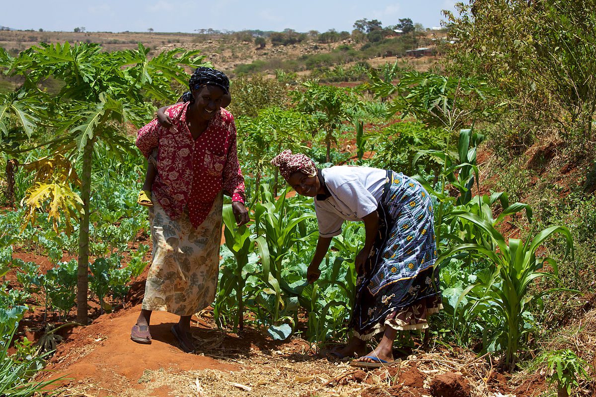 1200px-women_smallholder_farmers_in_kenya