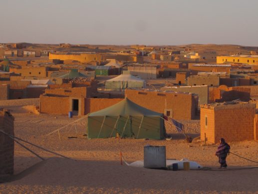 saharawiernes_flygtningelejre_ligger_i_et_goldt_oerkenomrade_-_foto_af_peter_kenworthy