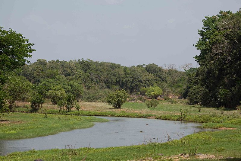 comoe_river_with_wetlands