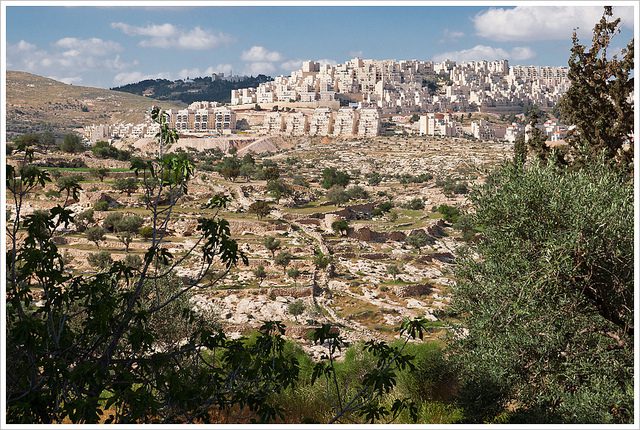 israelsk_bosaettelse_montecruz_foto_flickr