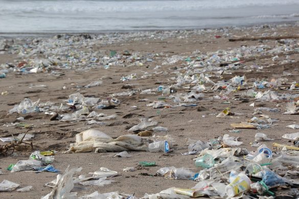 garbage-environment-beach-pollution-waste-2369821