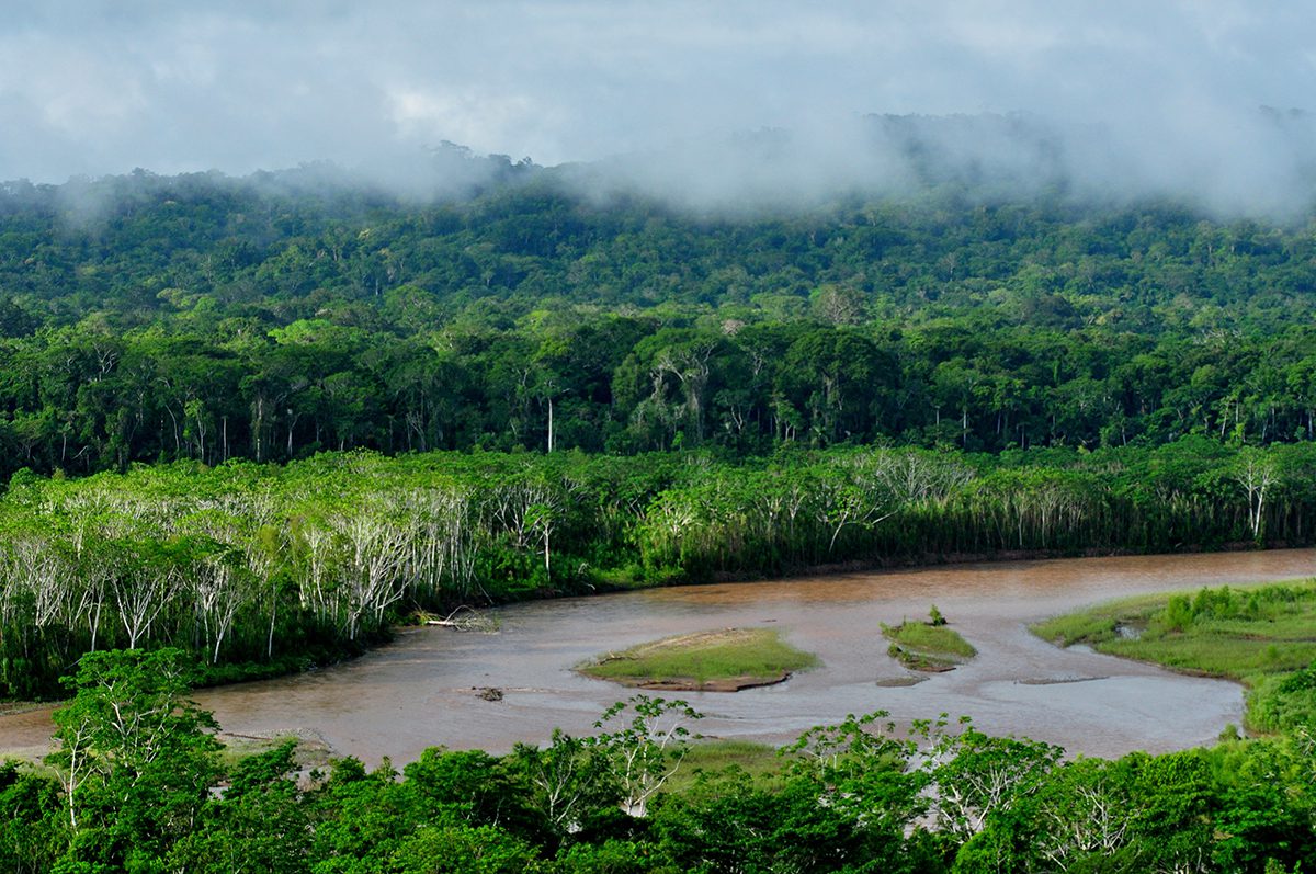 madidi_nationalpark_amazonas_bolivien