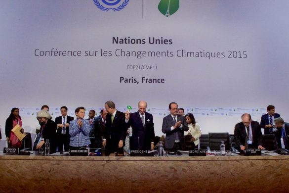 french_foreign_minister_fabius_bangs_down_the_gavel_after_representatives_of_196_countries_approved_a_sweeping_environmental_agreement_at_cop21_in_paris_23408651520