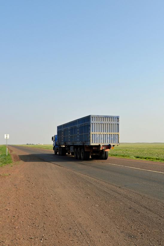 Den asfalterede landevej har skabt nye problemer for nomaderne. Hverken får, geder eller kameler har et kursus i trafiksikkerhed, hvorfor nogle dyr bliver kørt over, når de krydser vejen. Samtidig skader den tunge trafik Gobis unikke og sårbare økosystem.