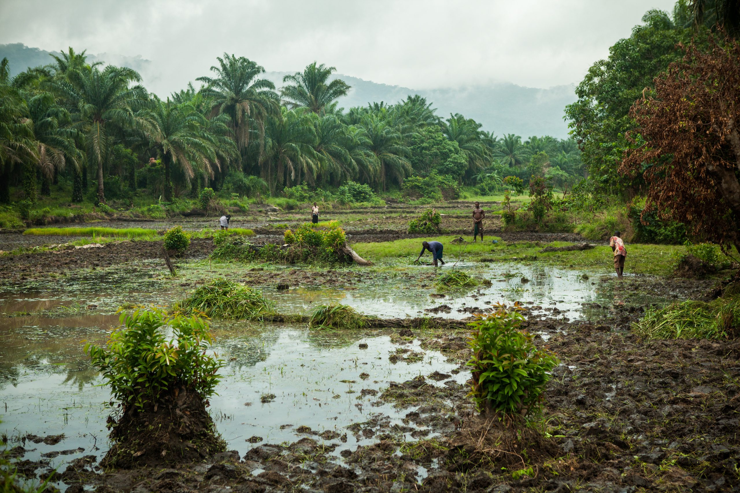 photo_simon_rawles_cafod_july_2013