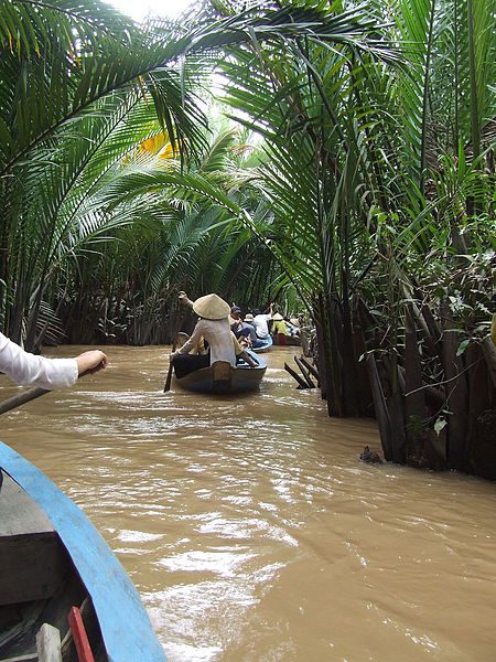 450px-mekong_delta_river_-a