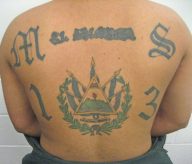 ms-13