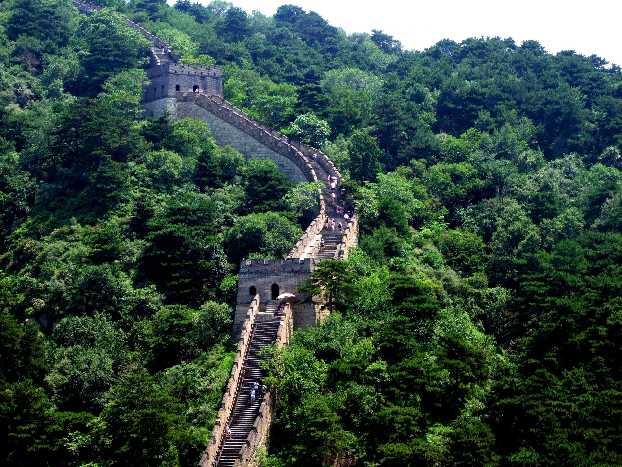 forest-great-wall-of-china-mountains-188412