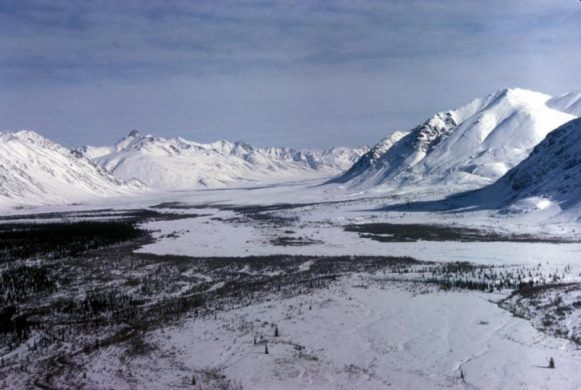 arctic-winter-landscape-725x487