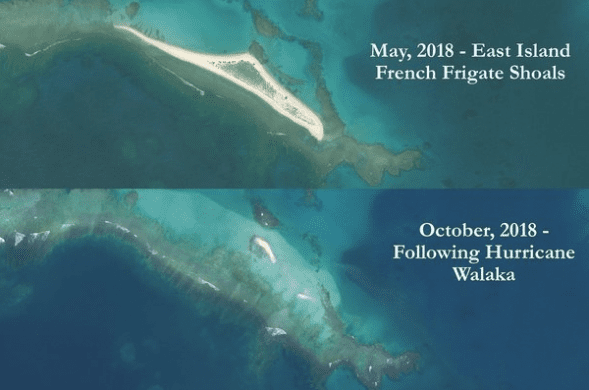 east_island_-_before_and_after_hurricane_walaka