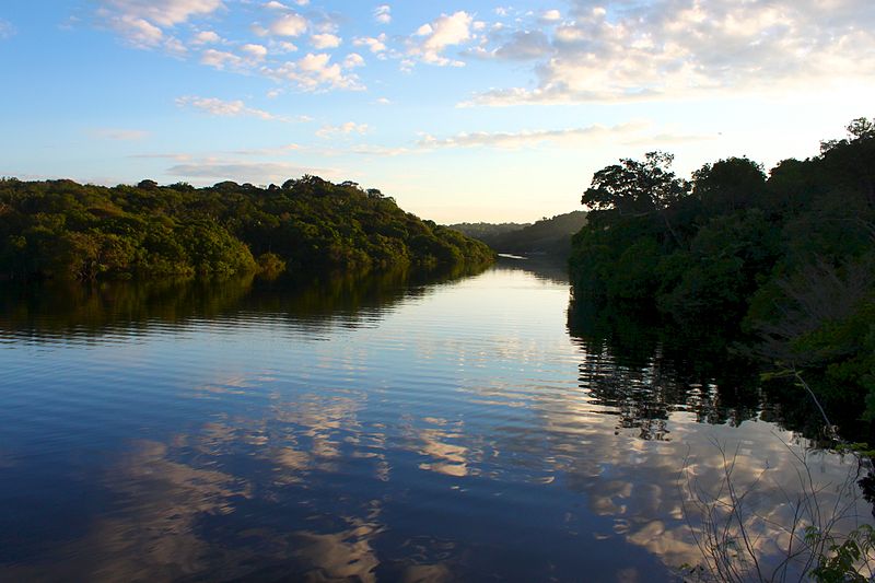 amanhecer_no_amazonas