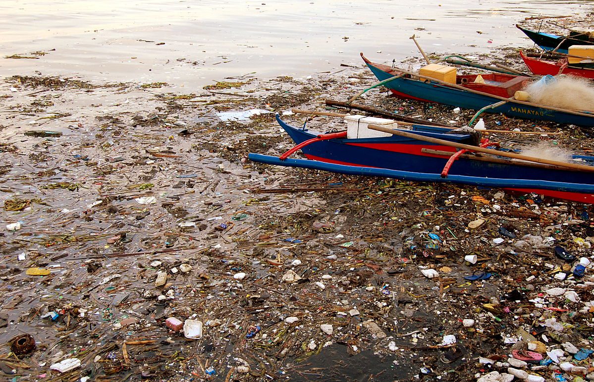 manila_bay_pasig_and_pampanga_river_basins_pollution_2008