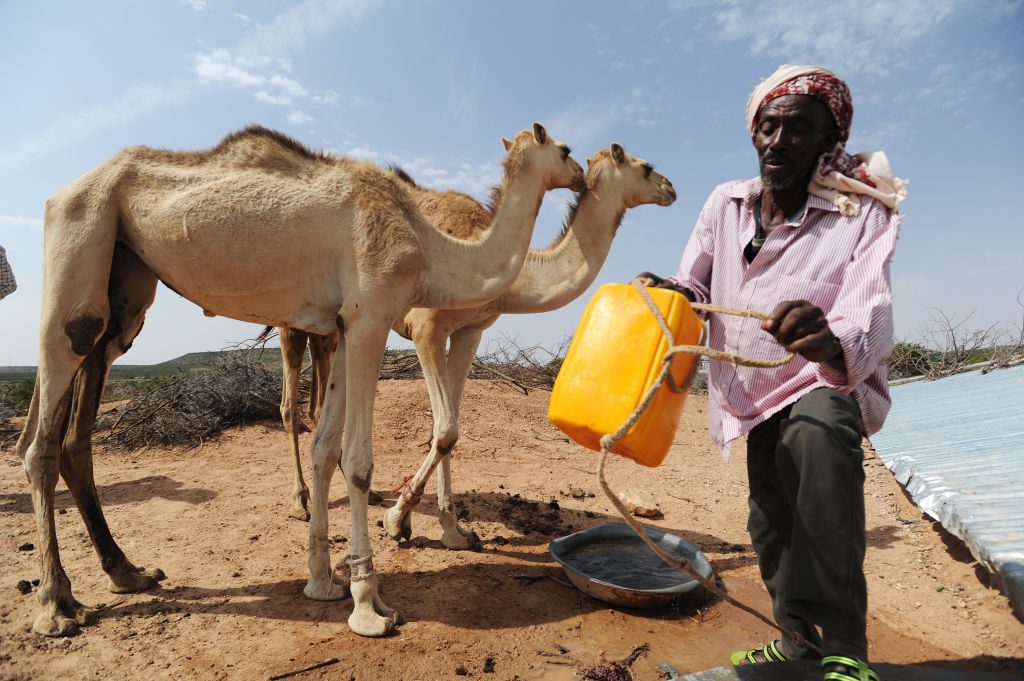 gettyimages-817537734_somalia_toerke_scott_peterson