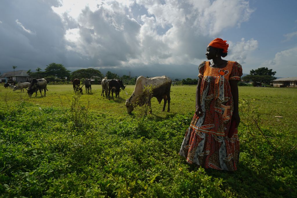 gettyimages-cameroun_landbrug