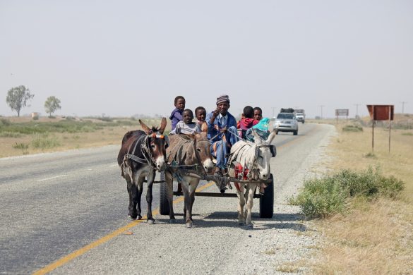 donkey-cart-on-the-road-in-botswana_lynn