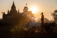 gettyimages-bagan